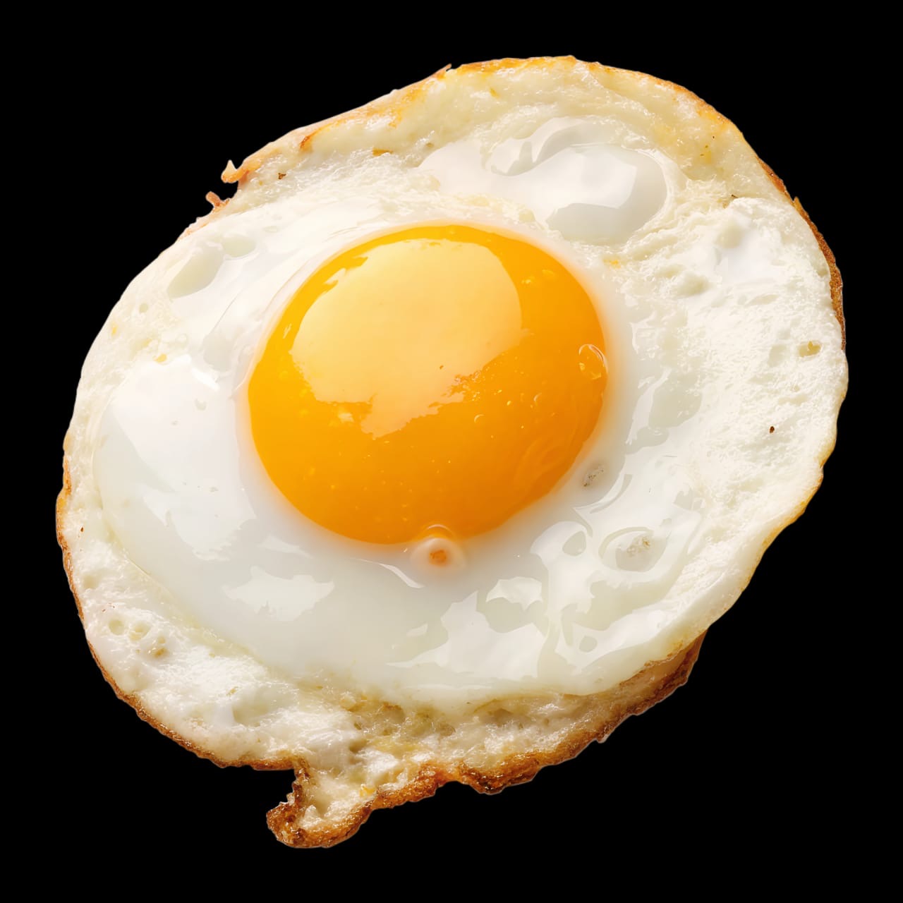 Egg_0
