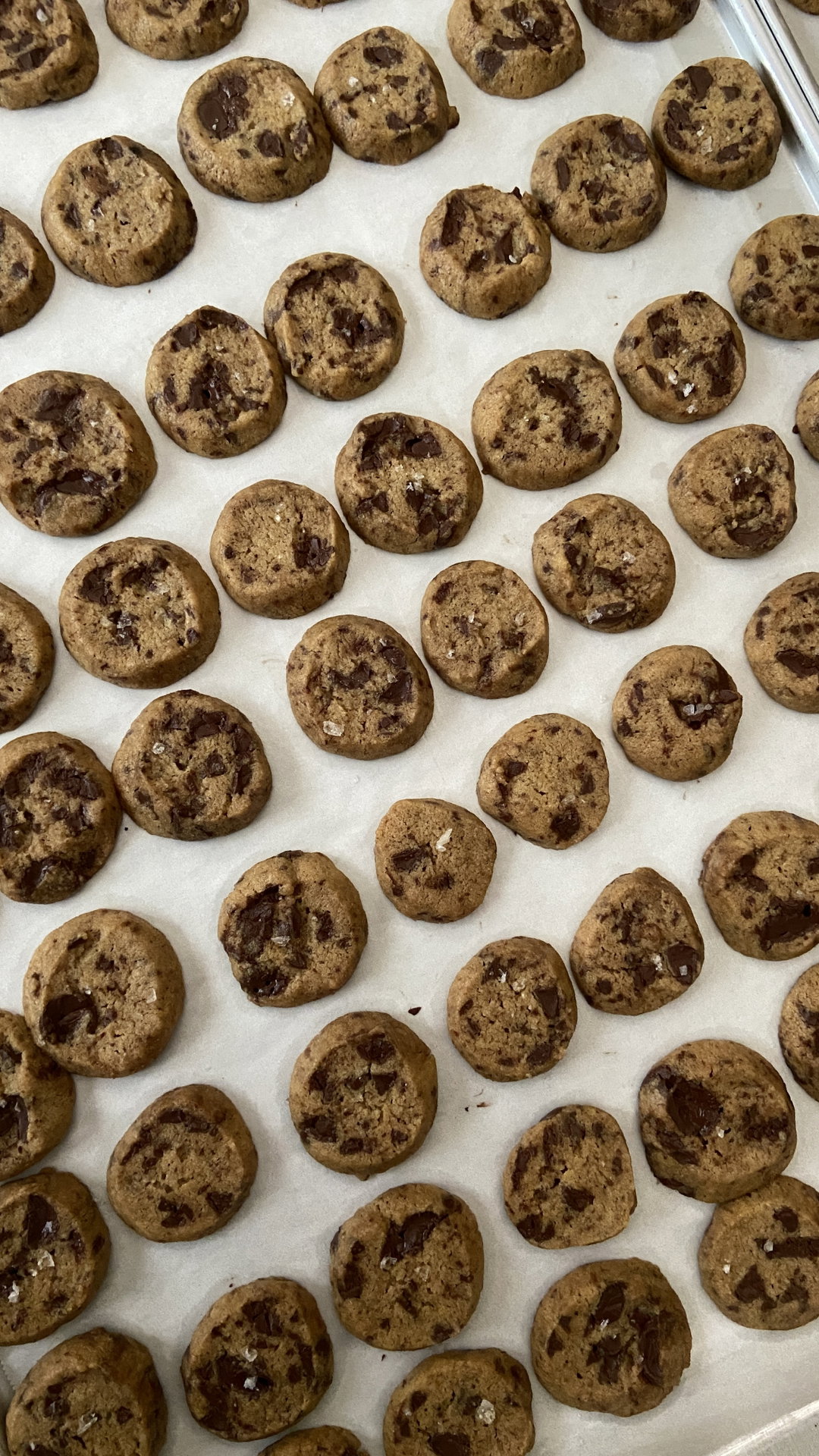 Sea Salt Sables