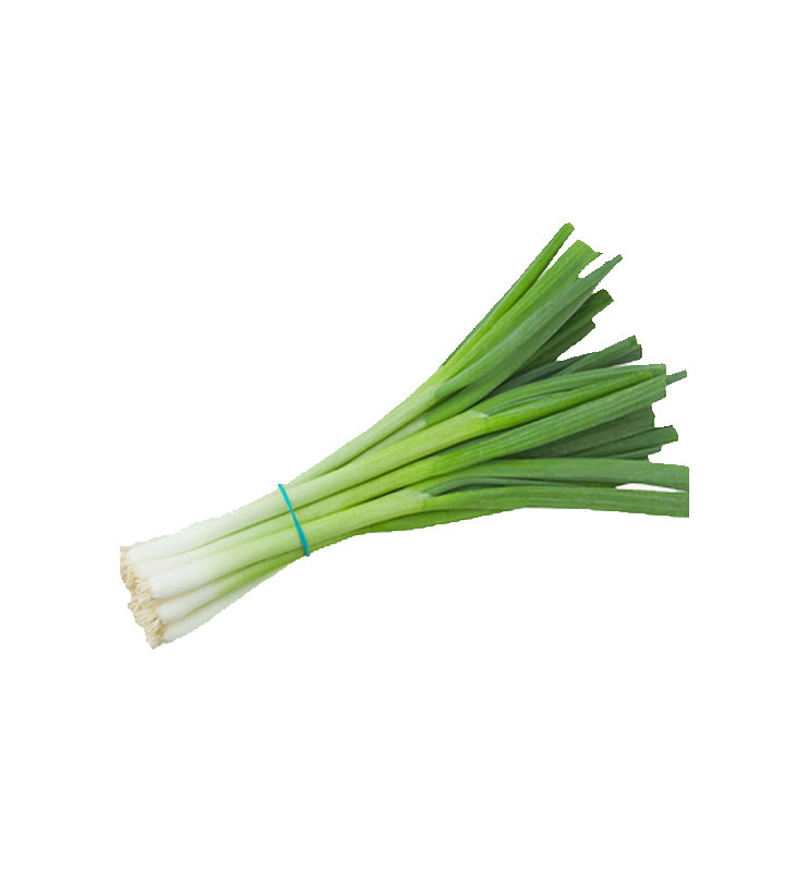 Escallion_0