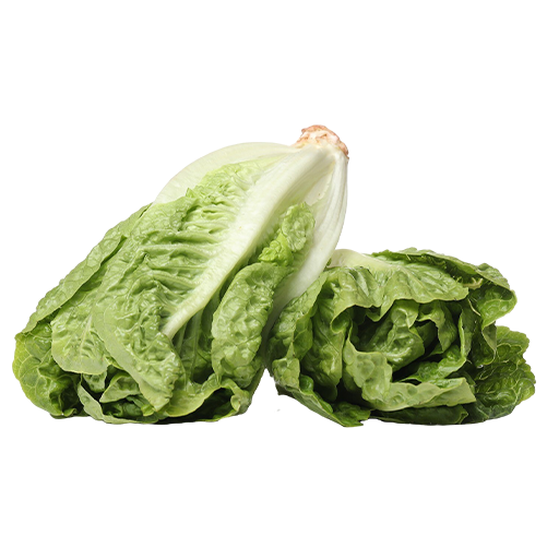 Lettuce