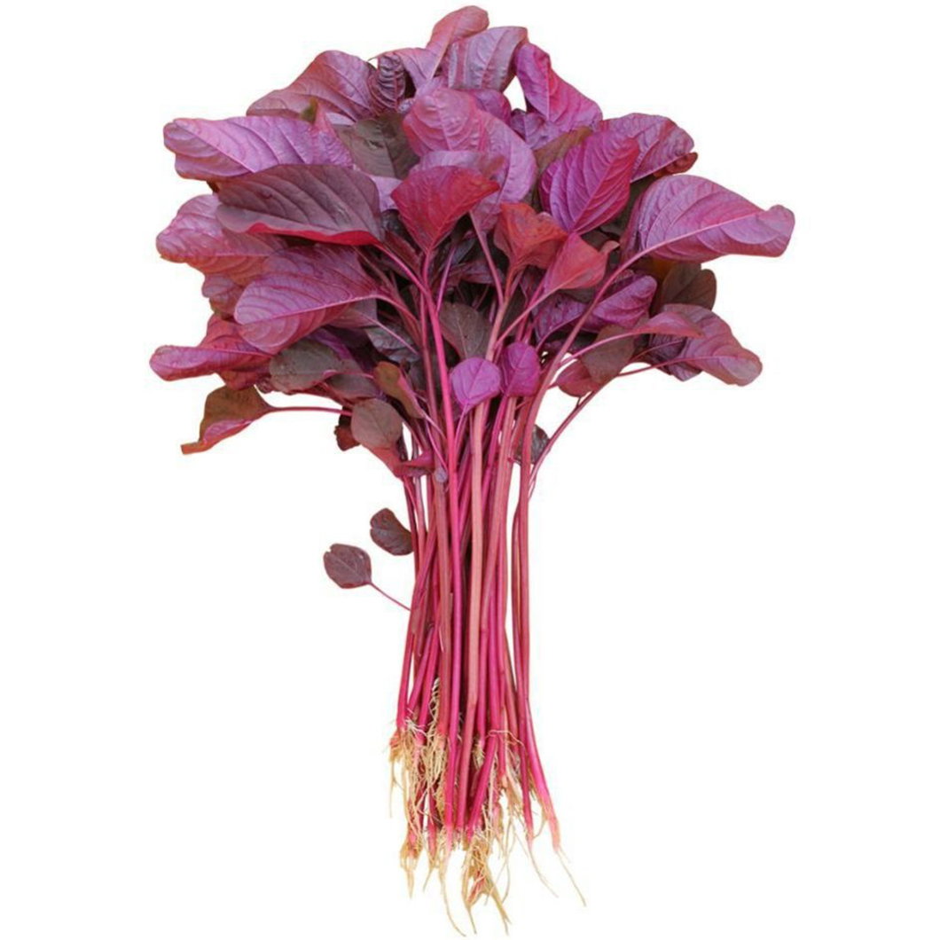 Red Spinach_0