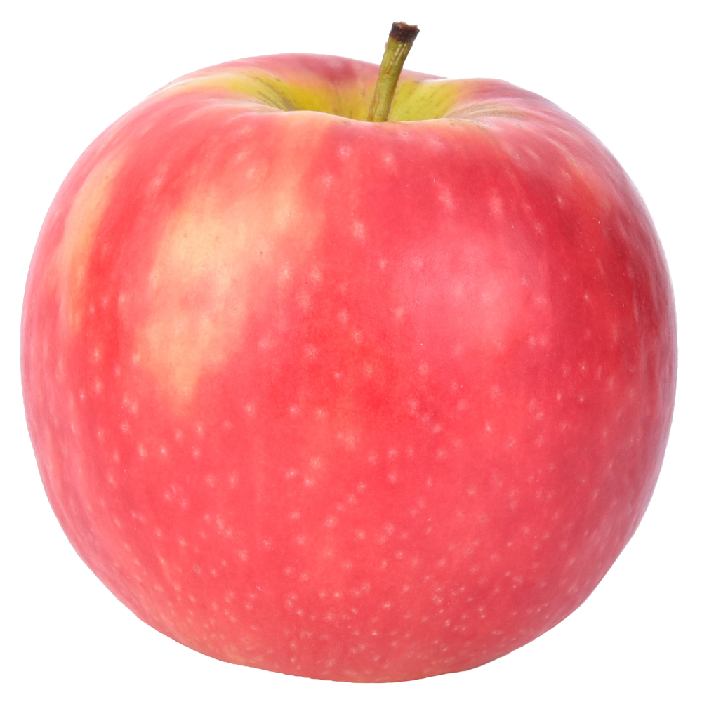 Apple_1