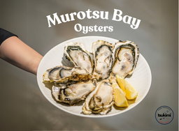 Sashimi Grade Frozen Oyster Murotsu L Size 90g-109G 10PCS (Sashimi) 1kg Packet