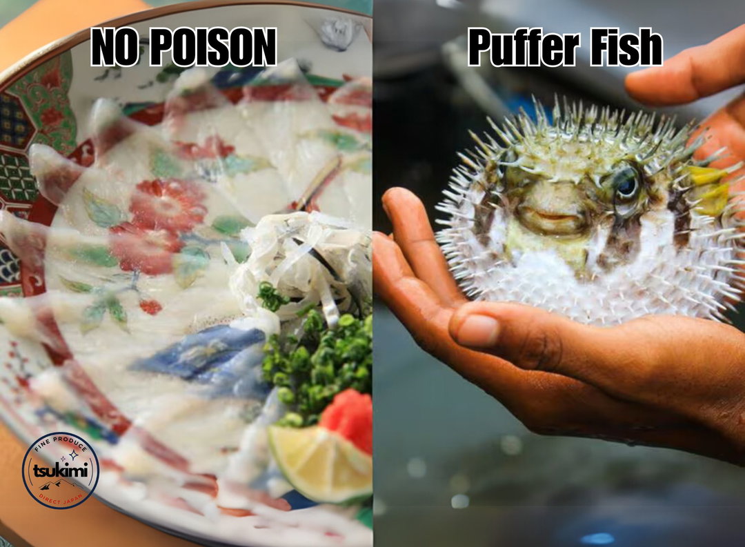 Sashimi Grade Frozen Fugu Puffer Fish Slices 18/20 PCS