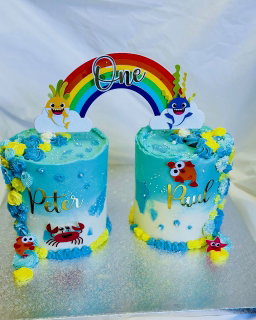 Twins Birthday cakes 