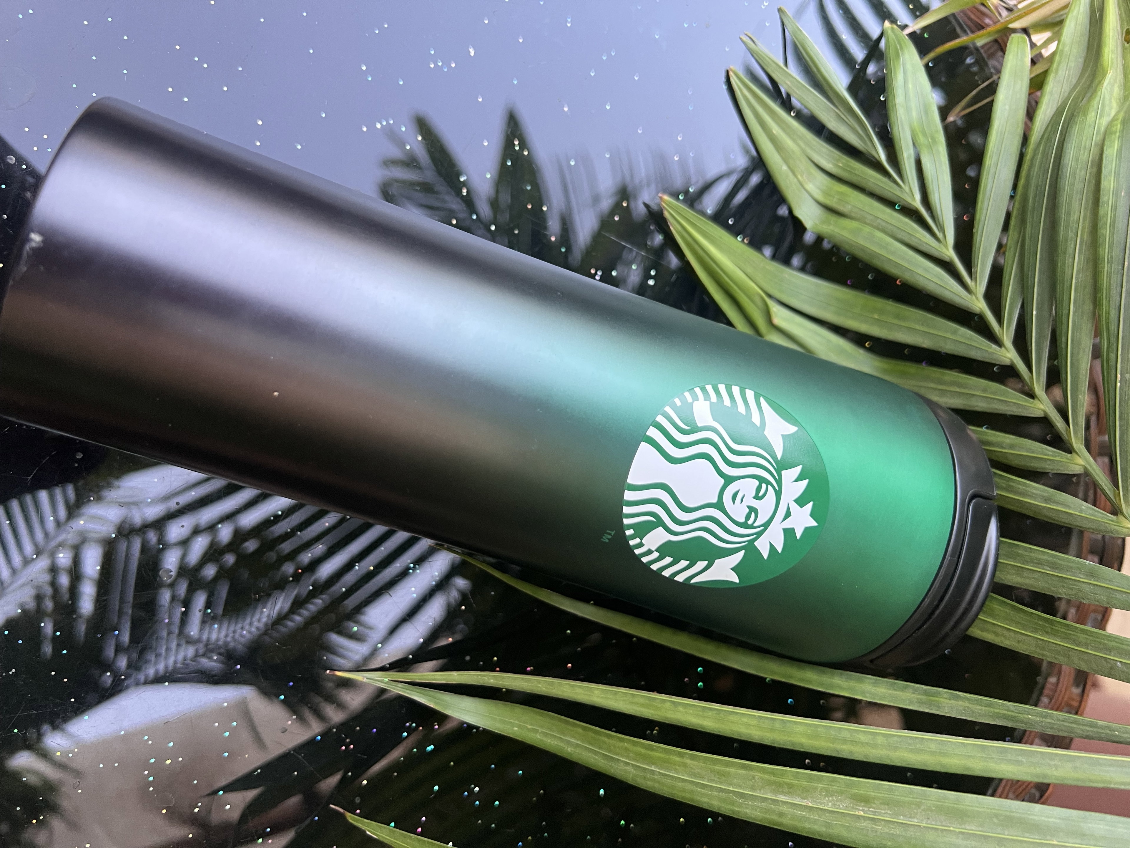 Mug starbucks vert dégradé isotherme _1
