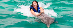 Dolphin experience