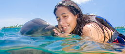 Dolphin Encounter (Not Swimming)