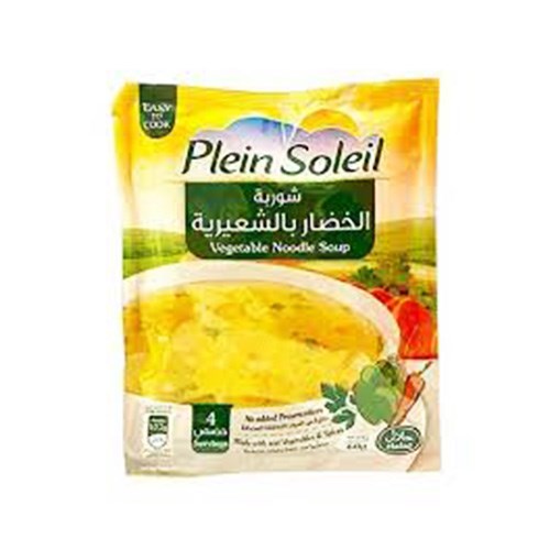 PLEIN SOLEIL VEGETABLE NOODLE SOUP_0
