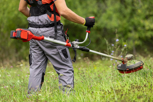 Landscaping Service_0