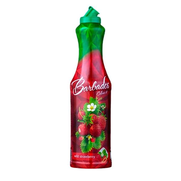 ББС Сироп 1 л. Дикая земляника (Wild strawberry)_0