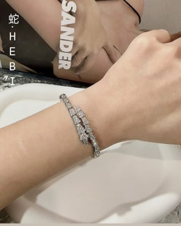(蛇)HEBI BRACELET (PO)