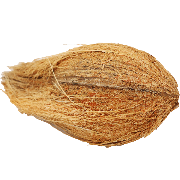 Coconut Whole India pc