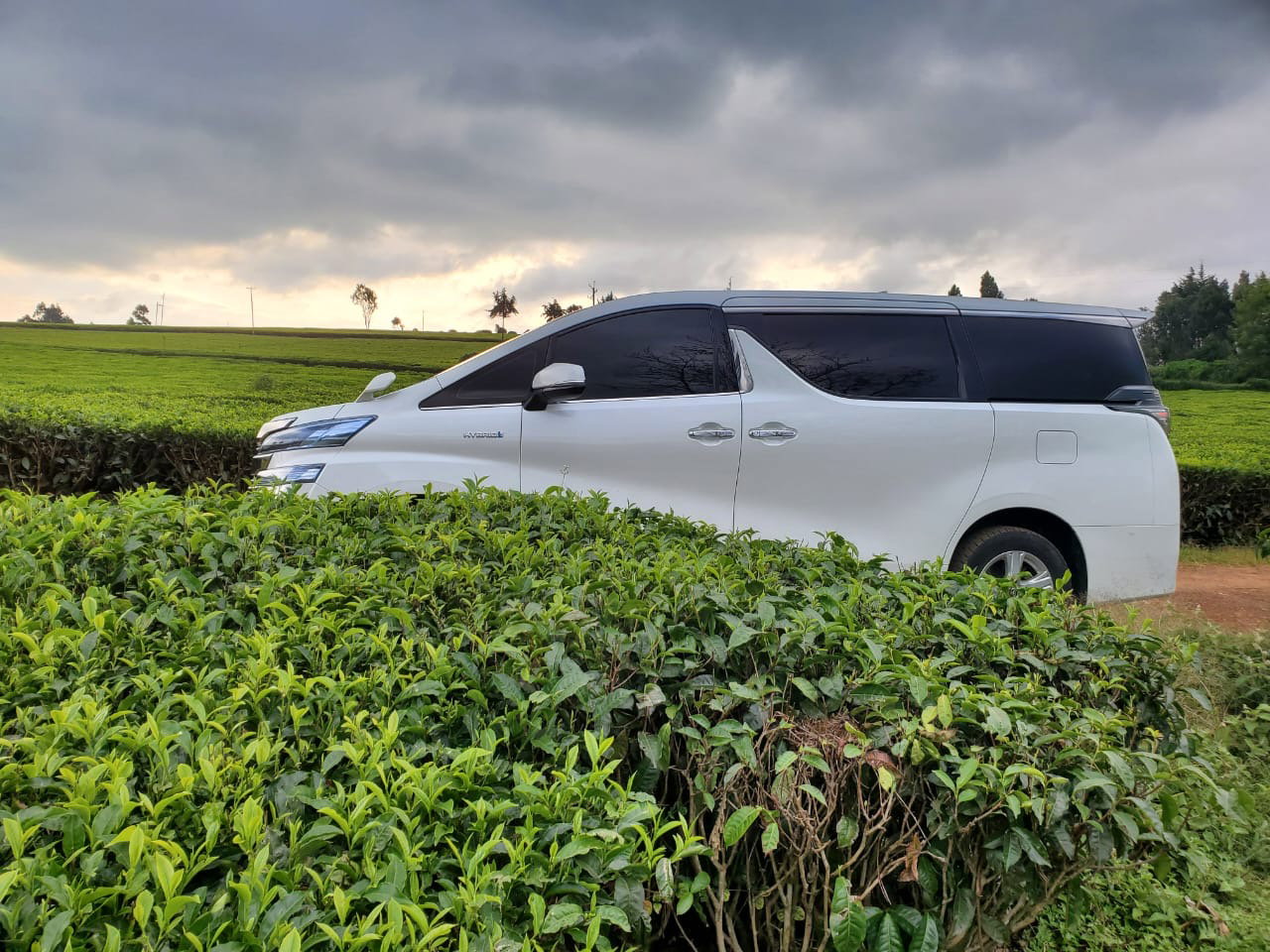 Vellfire for Hire Self-Drive, Nairobi_2