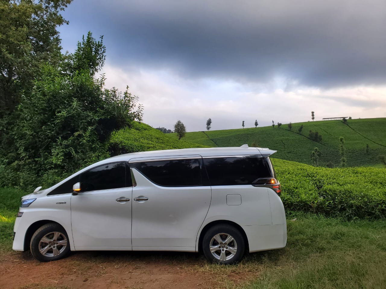 Vellfire for Hire Self-Drive, Nairobi_1