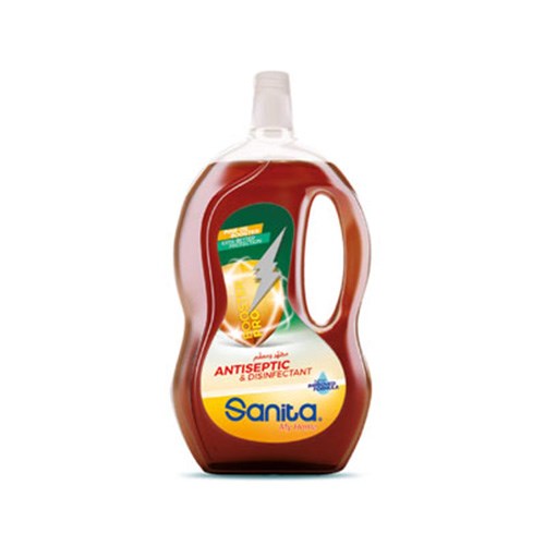 Sanita Antiseptic 600ml