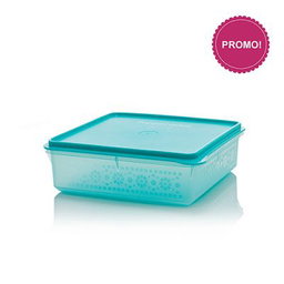 MOSAIC SNACK STOR 2.9L