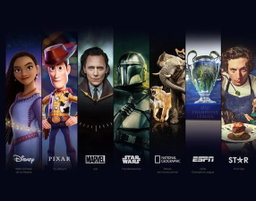 Disney+