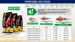 Porpoise Koi Food Growth Fish Food 1KG 1/5/10kg- S/M/L