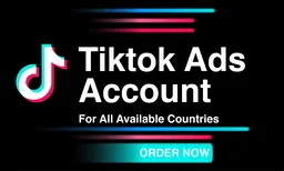 TikTok Ads