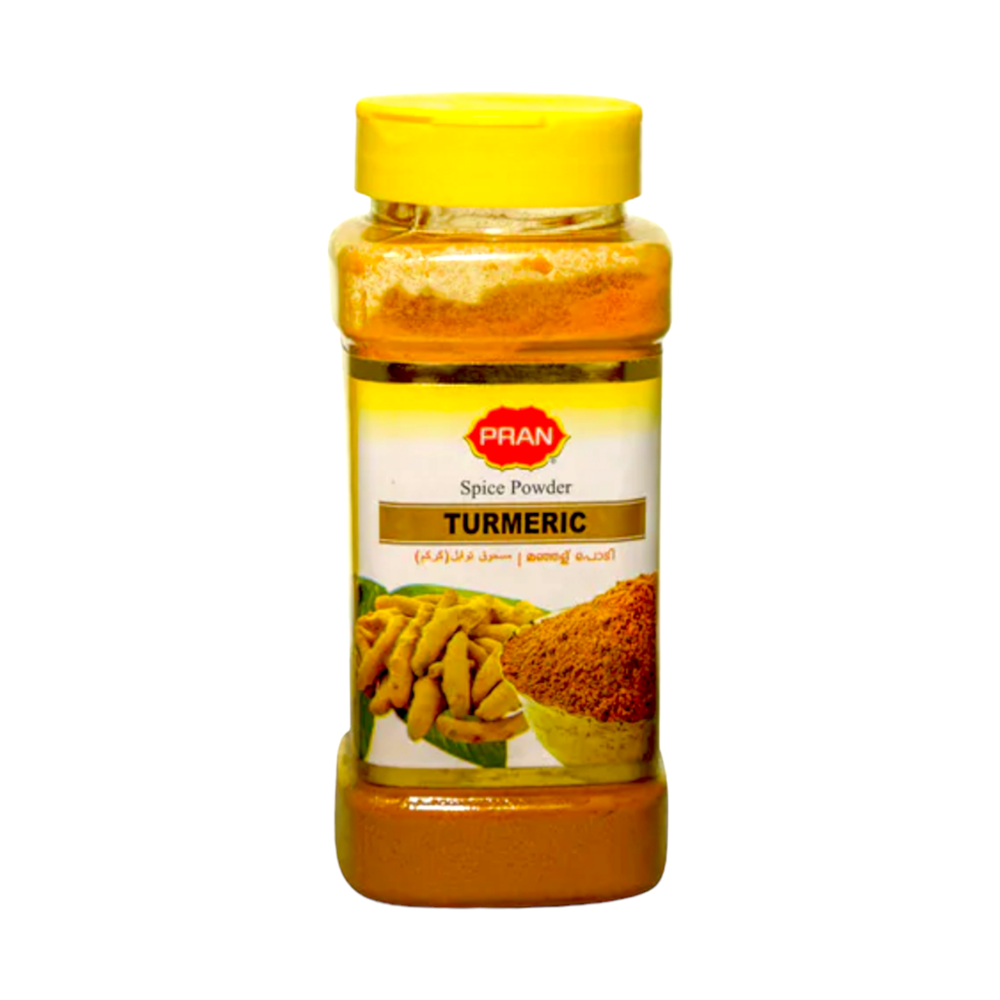 Pran Spice Powder Turmeric 250g_0