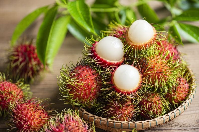 Rambutan_0