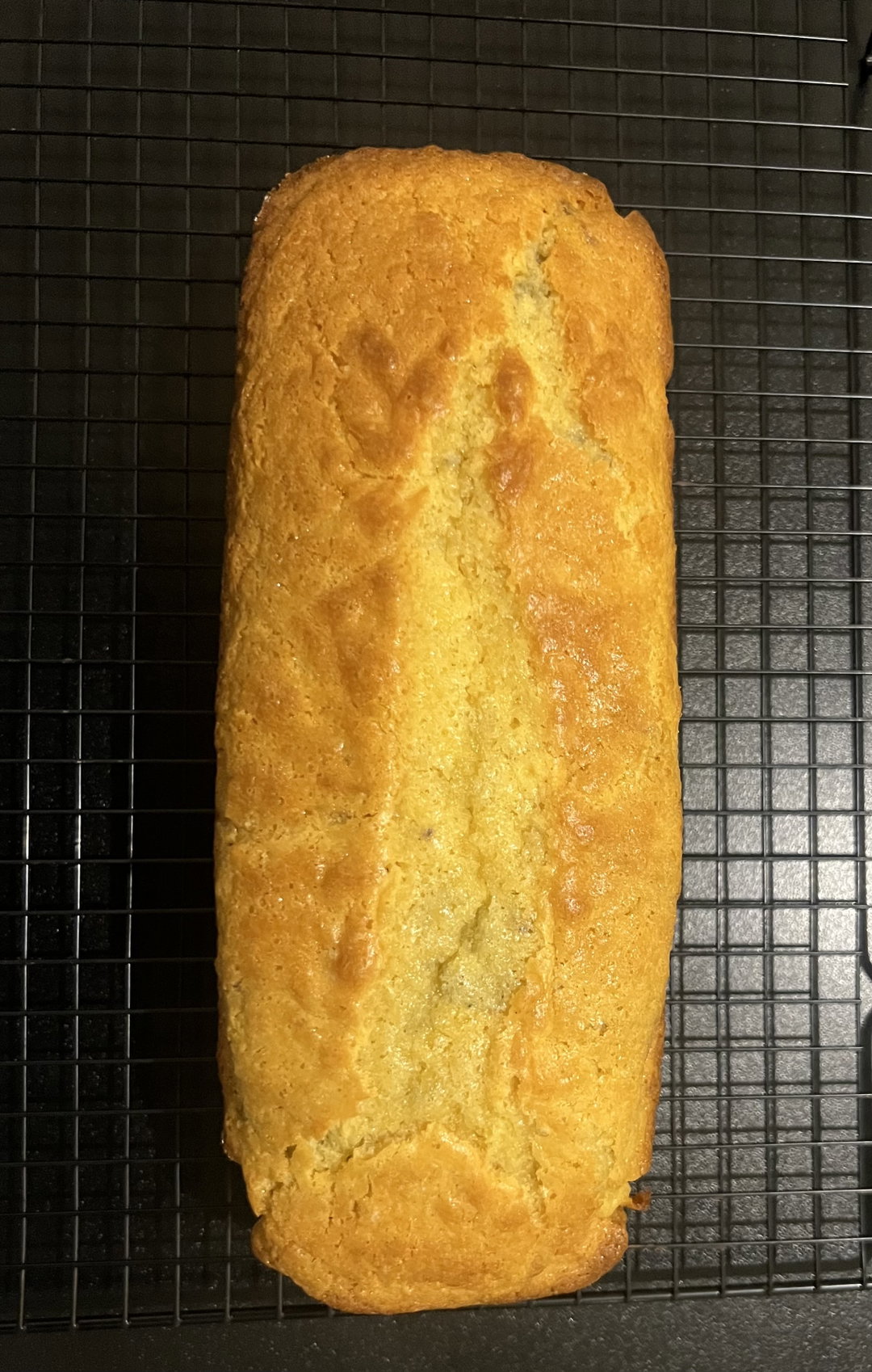 Blueberry Pond Cake