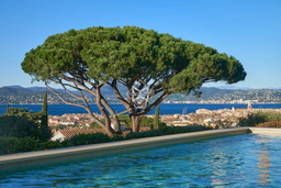 Villa - Saint-Tropez