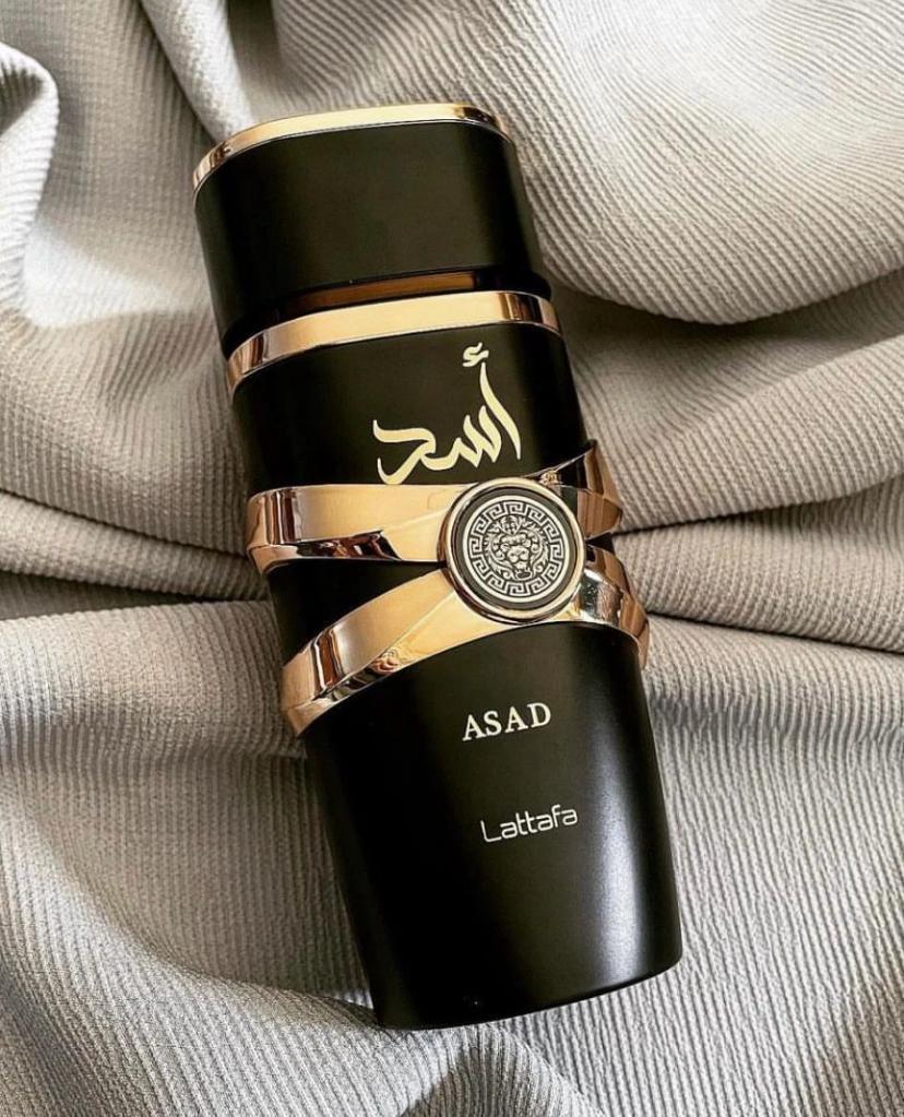 Yara lattafa_5
