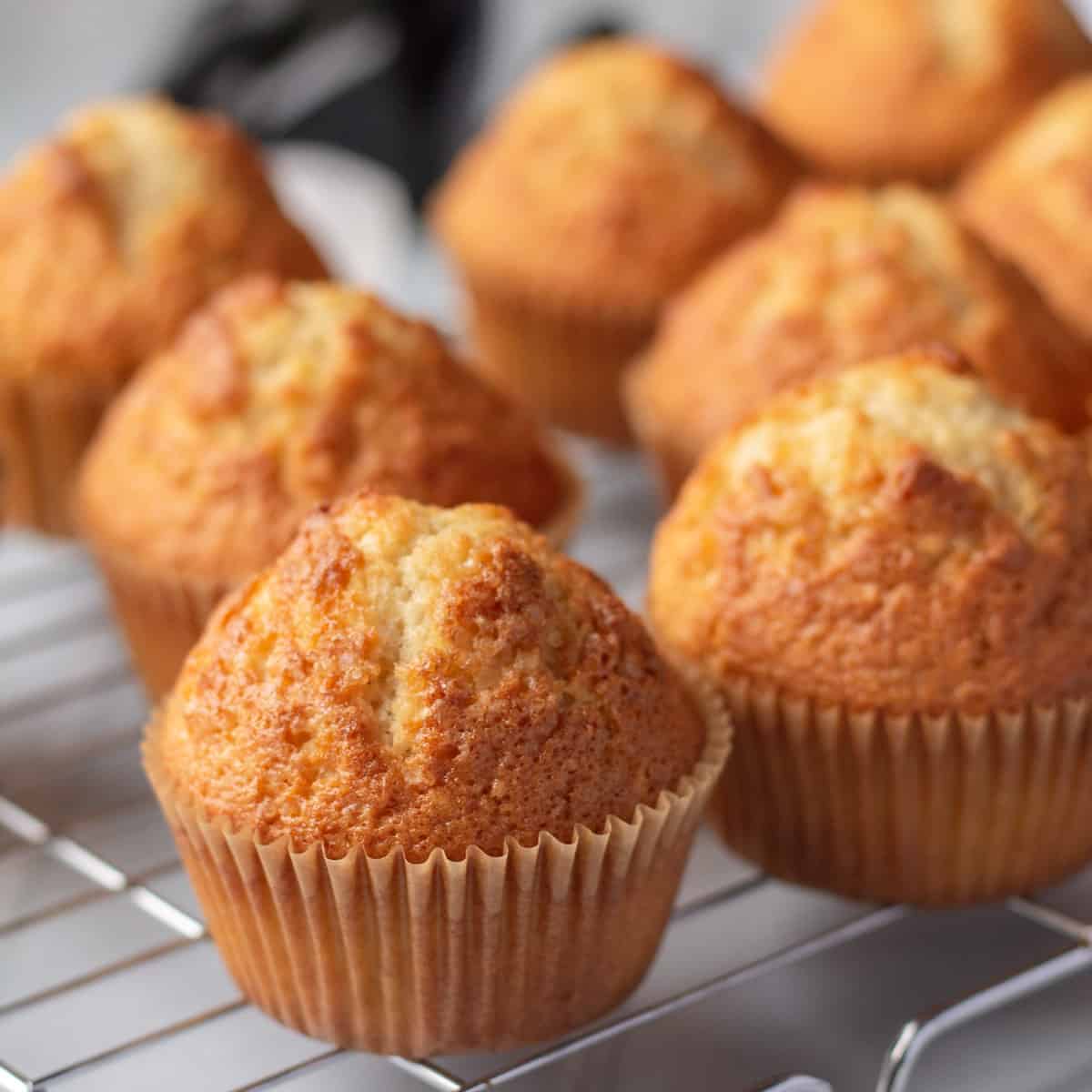 Vanilla Muffin (6pcs)_0