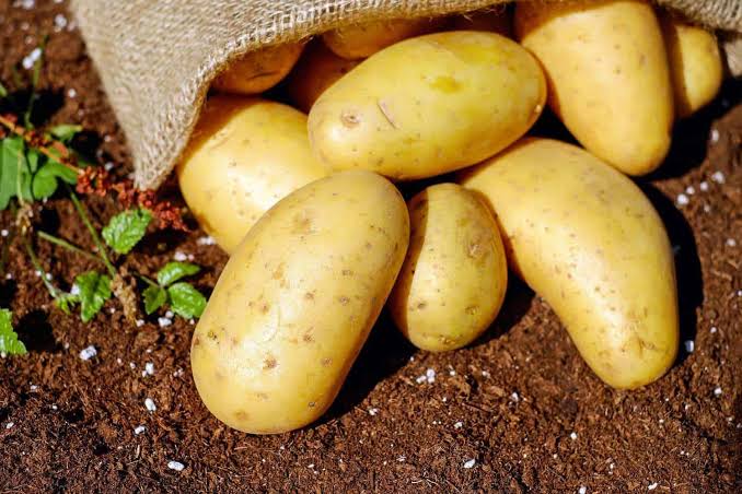 Potatoes _0
