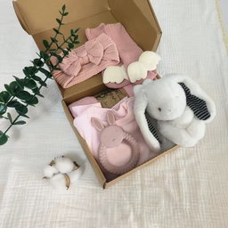 6 Pcs Plush Newborn gift set Bunny Swaddle 