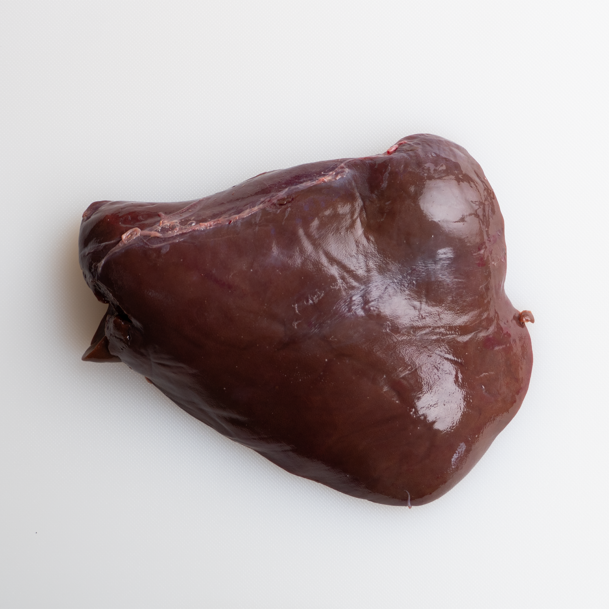 OX- Liver_1