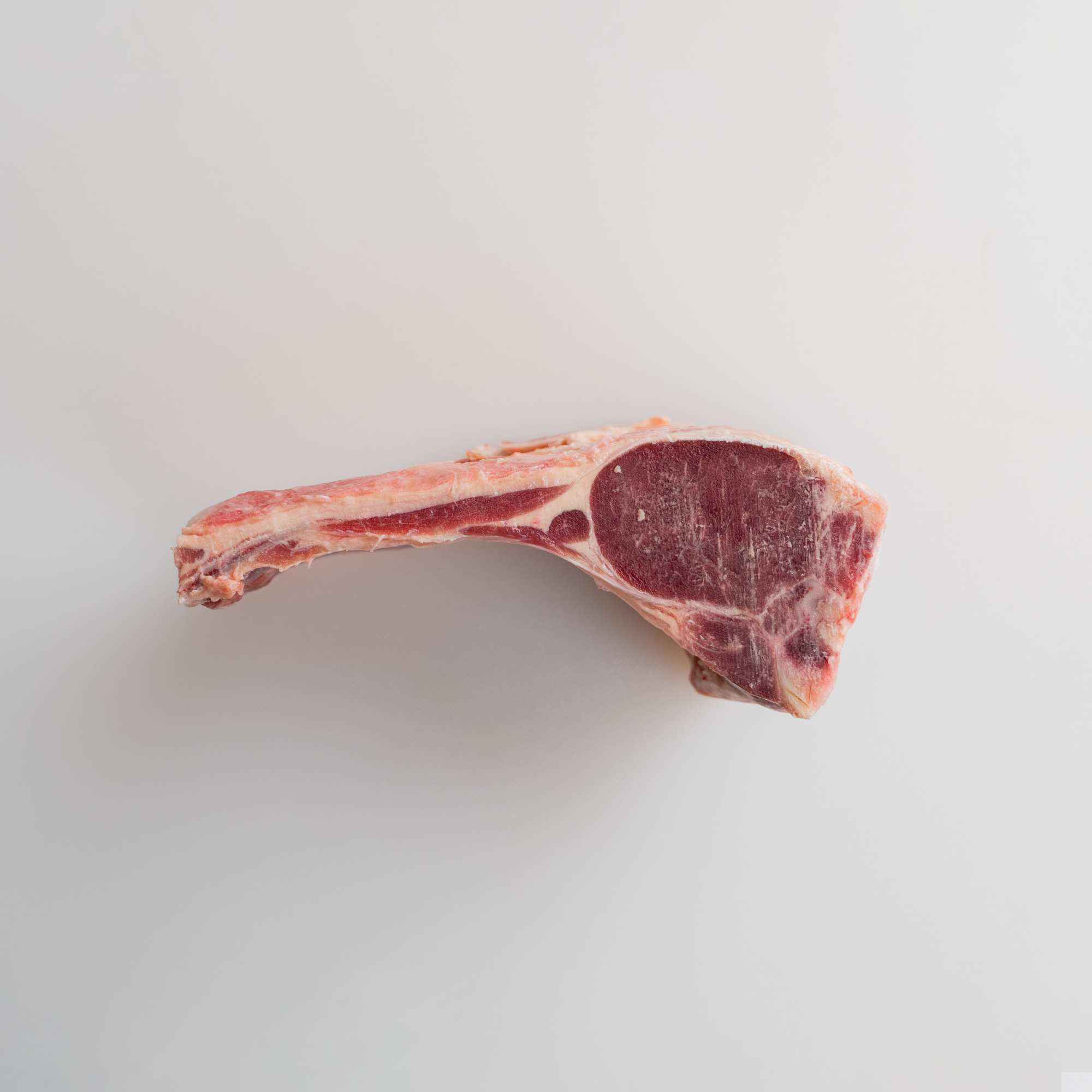 Lamb Chops 500g_0