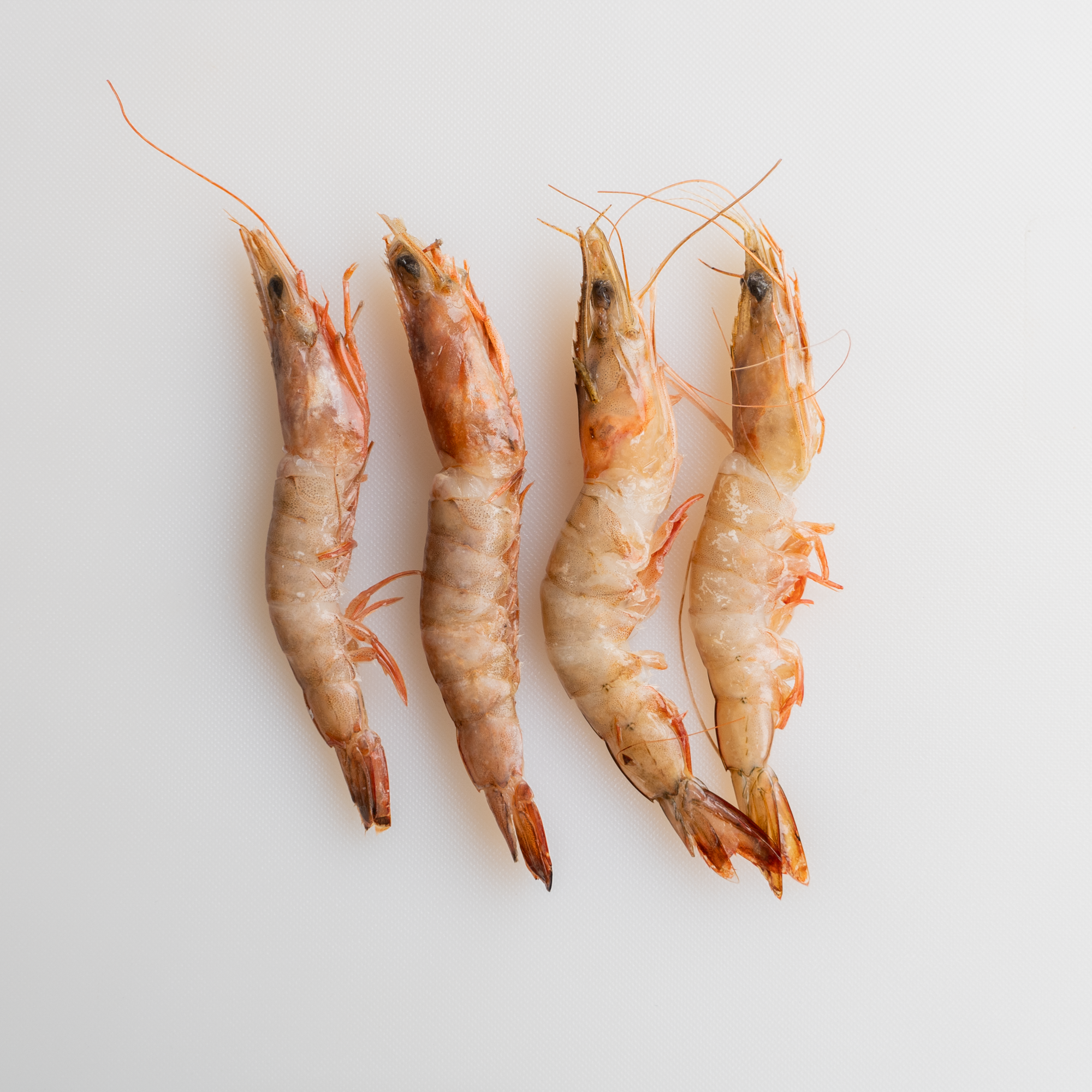 Prawns - Shelled and Cleaned - 500g_0