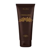 Avroy-Shlain Products