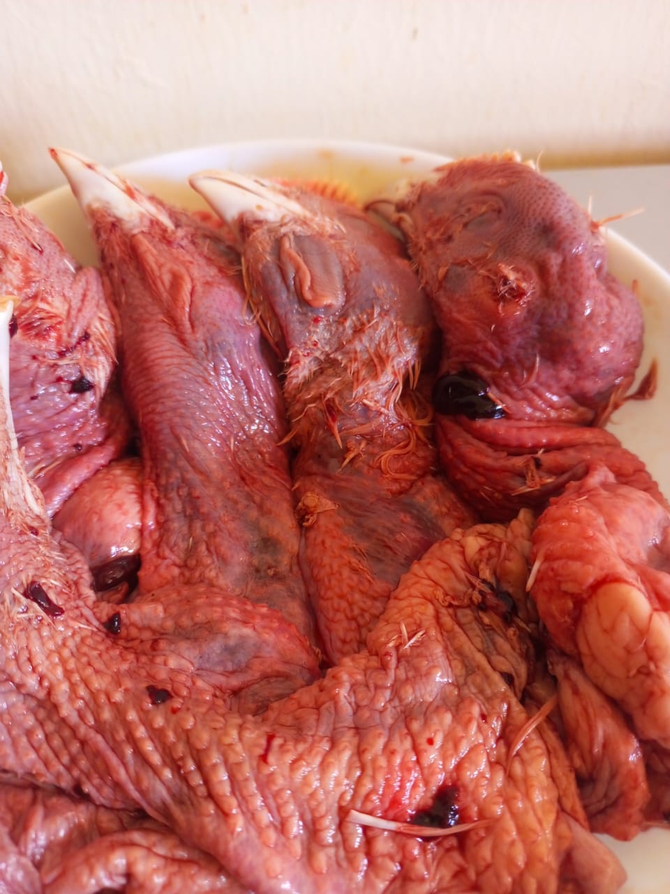 Chicken heads with skin_0