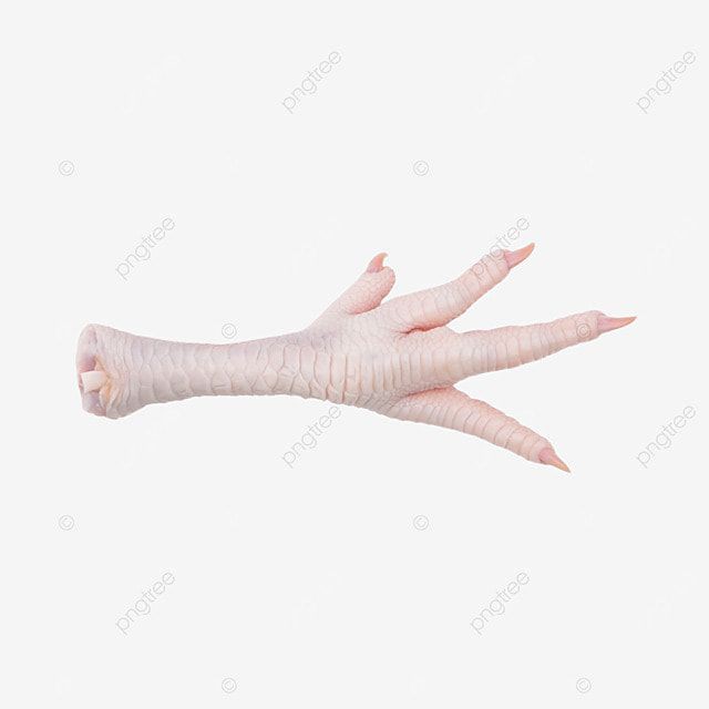 Chicken feet_0