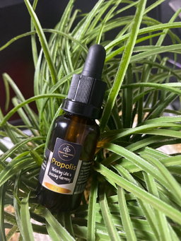 Propolis Wellness Drops – Natural Immune Support in Every Sip 🌿✨