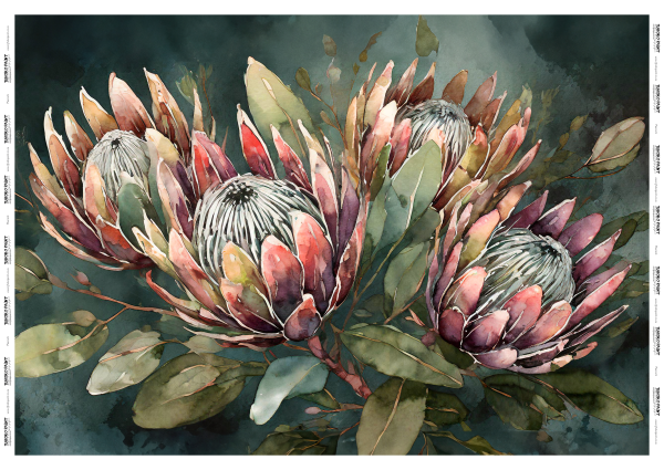PROTEA ELEGANCE (HORIZONTAL) LRG 860x598mm