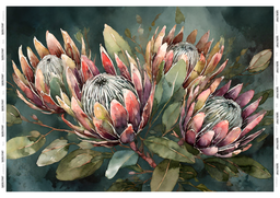 PROTEA ELEGANCE (HORIZONTAL) LRG 860x598mm