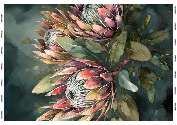 PROTEA ELEGANCE (VERTICAL) SML 400x300mm
