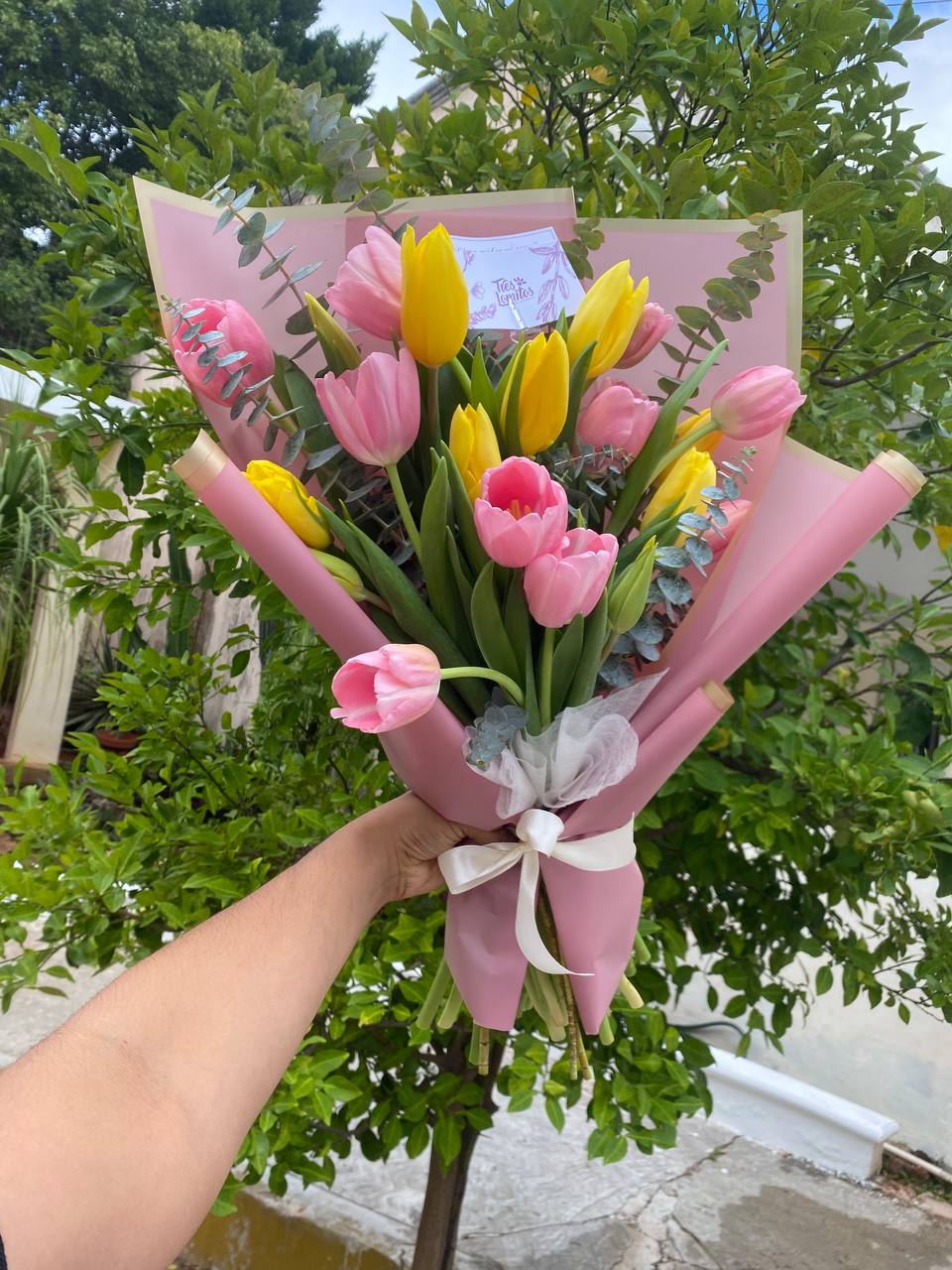 20 tulipanes con follaje_0