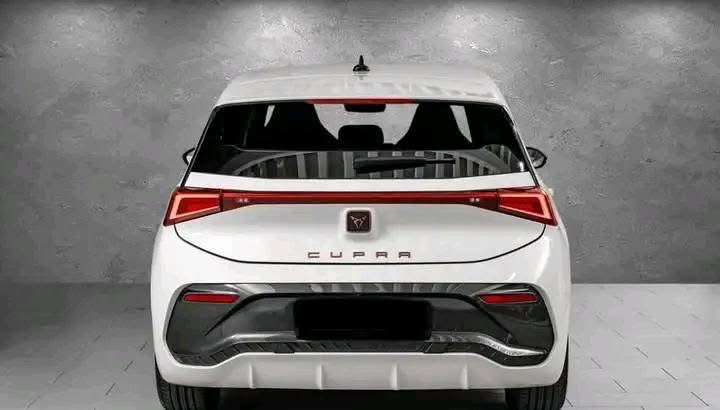 Cupra E / 2022_1
