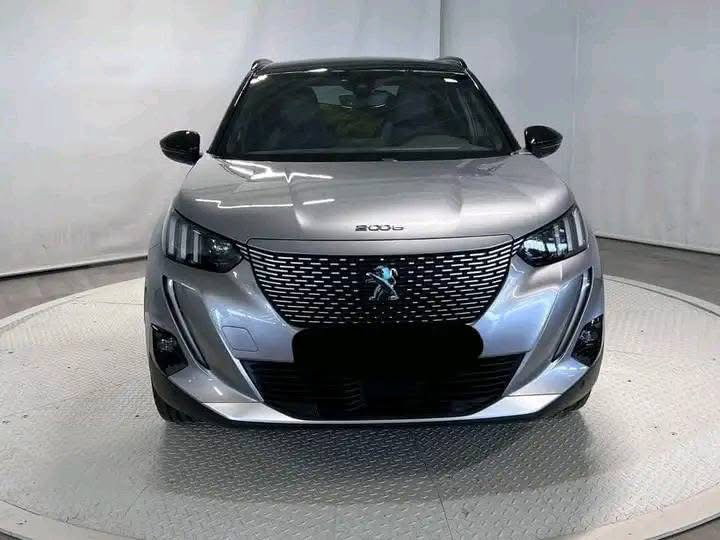 Peugeot 2008 / 2021