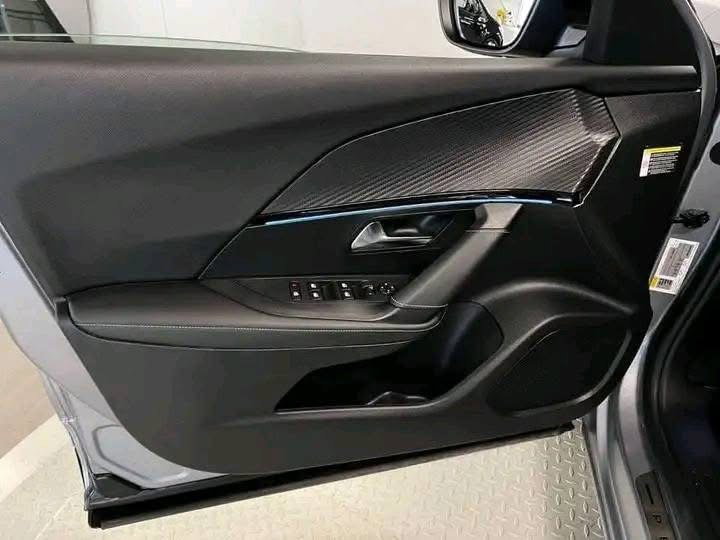 Peugeot 2008  / 2021 _9