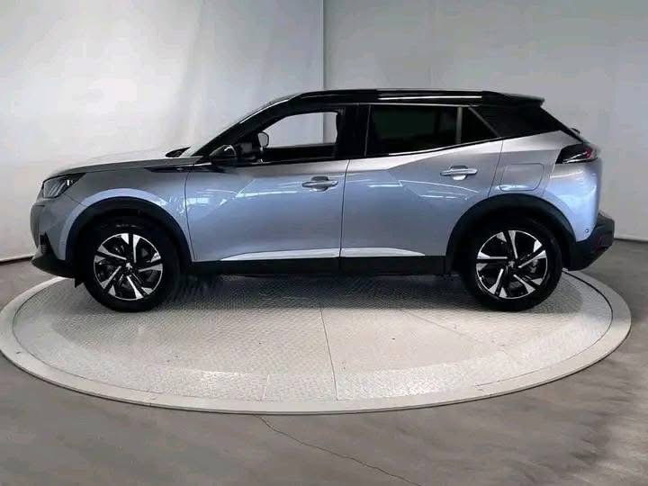 Peugeot 2008  / 2021 _7