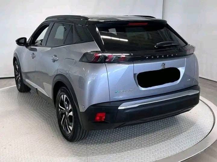 Peugeot 2008  / 2021 _2