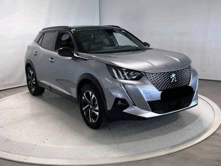 Peugeot 2008  / 2021 _1