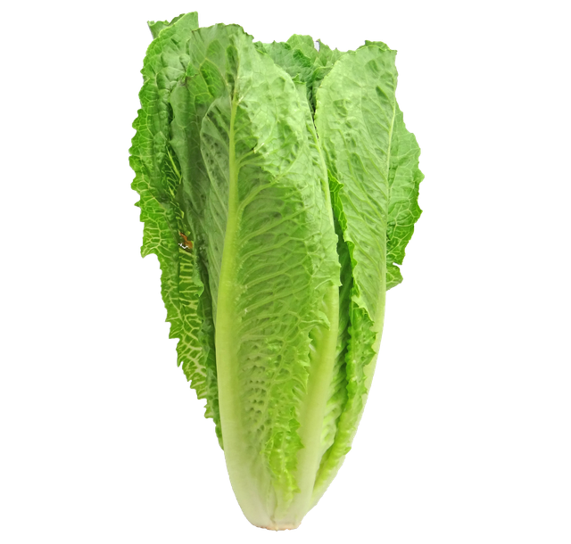 Salad Saag (Lettuce), 250gm_1